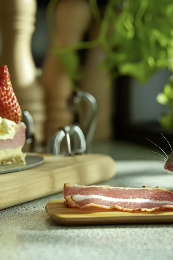 maus_speck.png